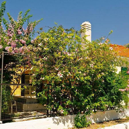 House With Garden Near The Sea Lejlighed Agia Efimia Eksteriør billede