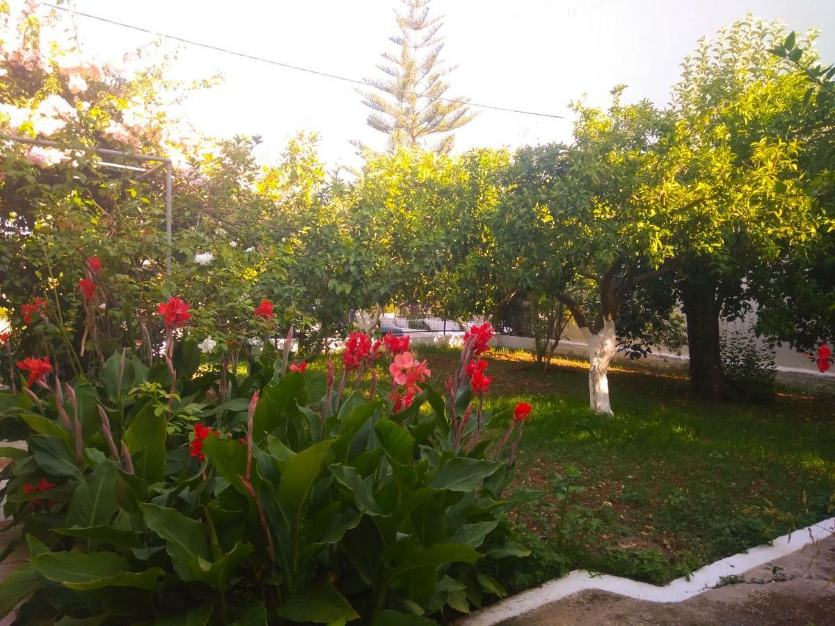 House With Garden Near The Sea Lejlighed Agia Efimia Eksteriør billede