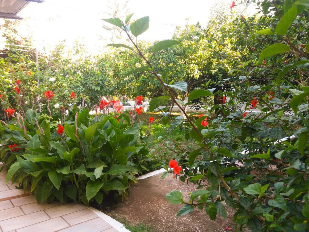 House With Garden Near The Sea Lejlighed Agia Efimia Eksteriør billede
