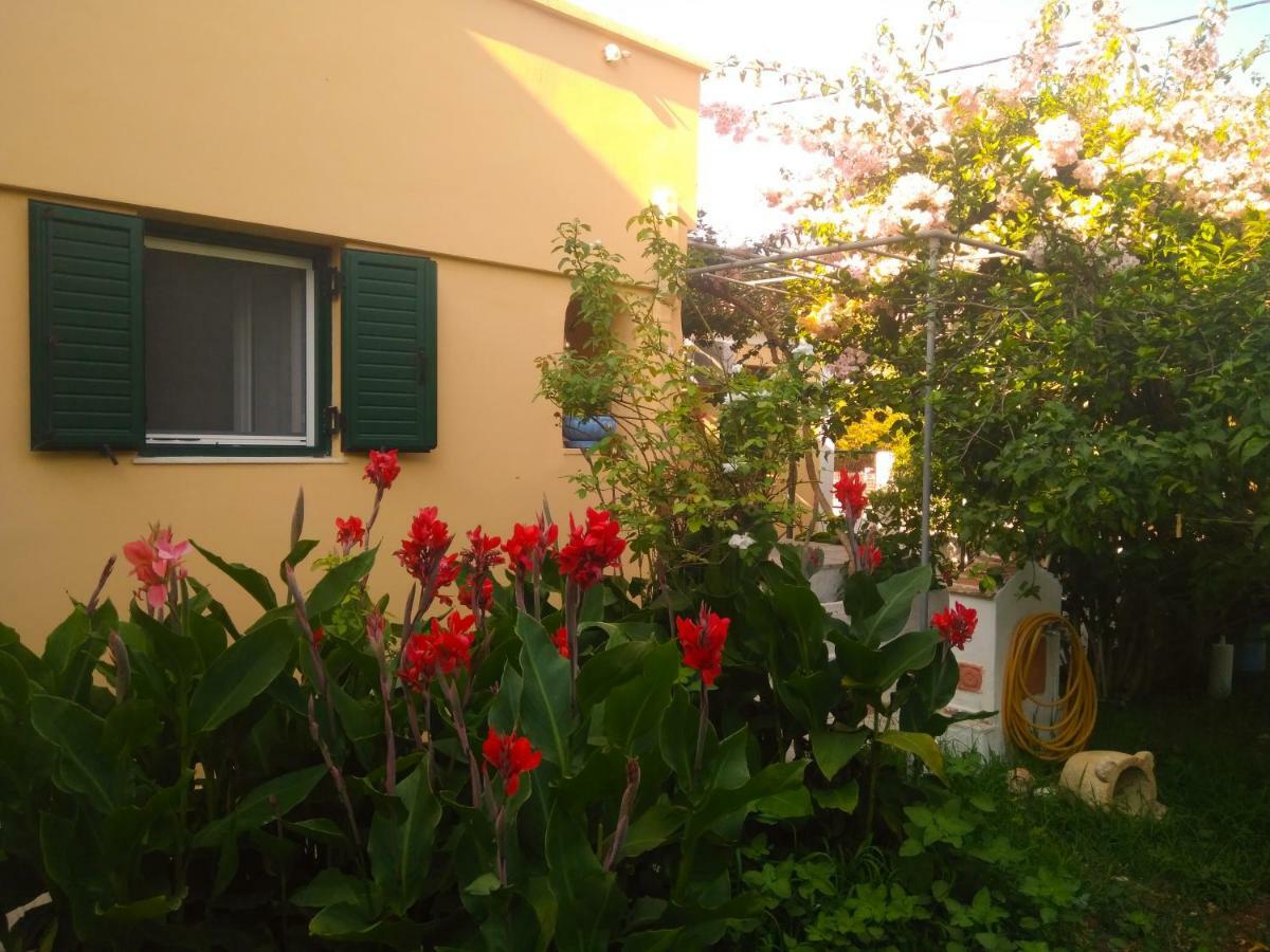 House With Garden Near The Sea Lejlighed Agia Efimia Eksteriør billede