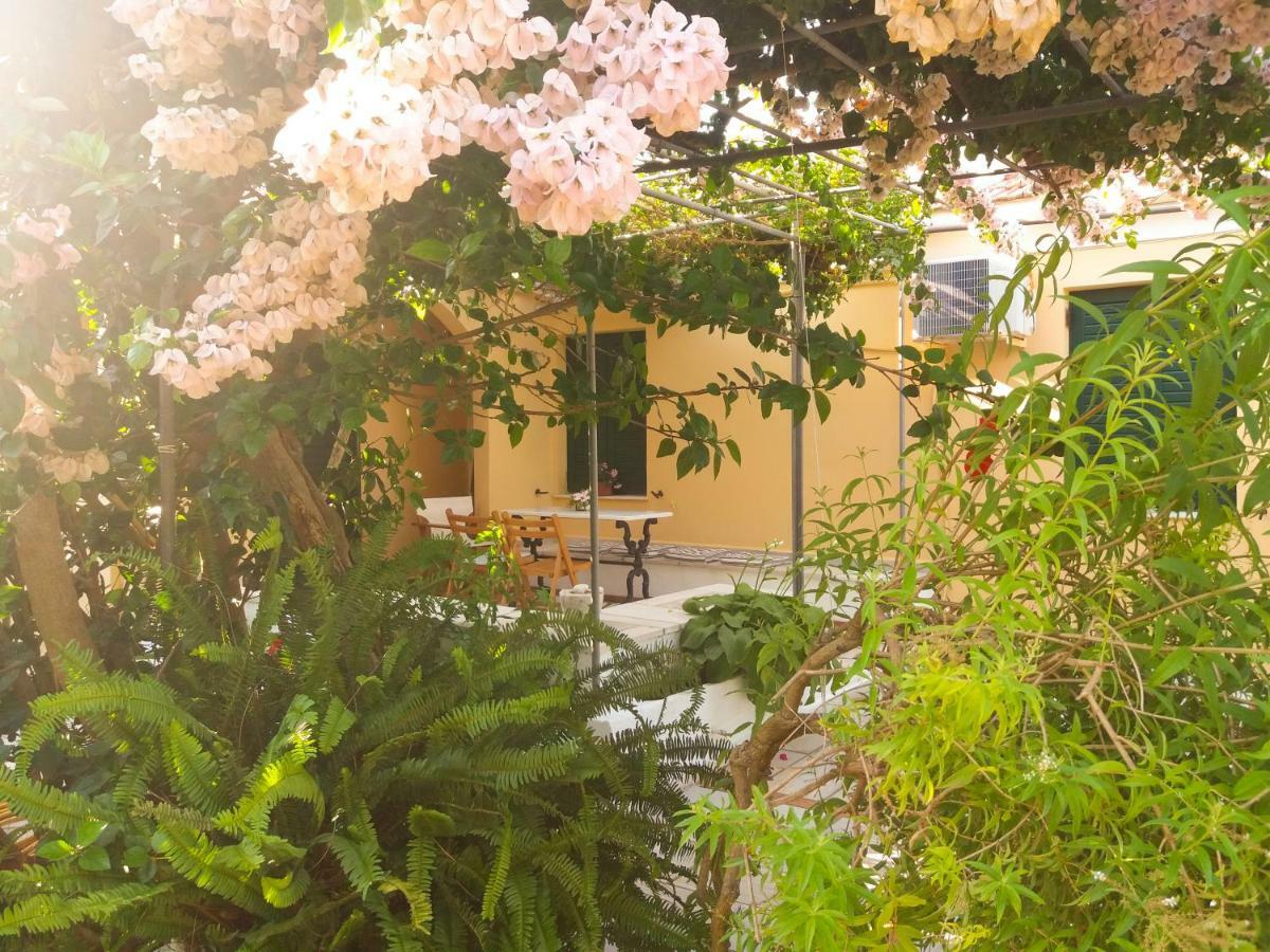 House With Garden Near The Sea Lejlighed Agia Efimia Eksteriør billede