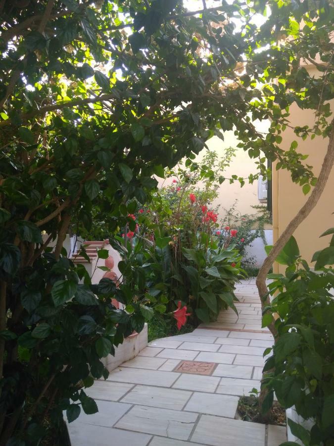 House With Garden Near The Sea Lejlighed Agia Efimia Eksteriør billede